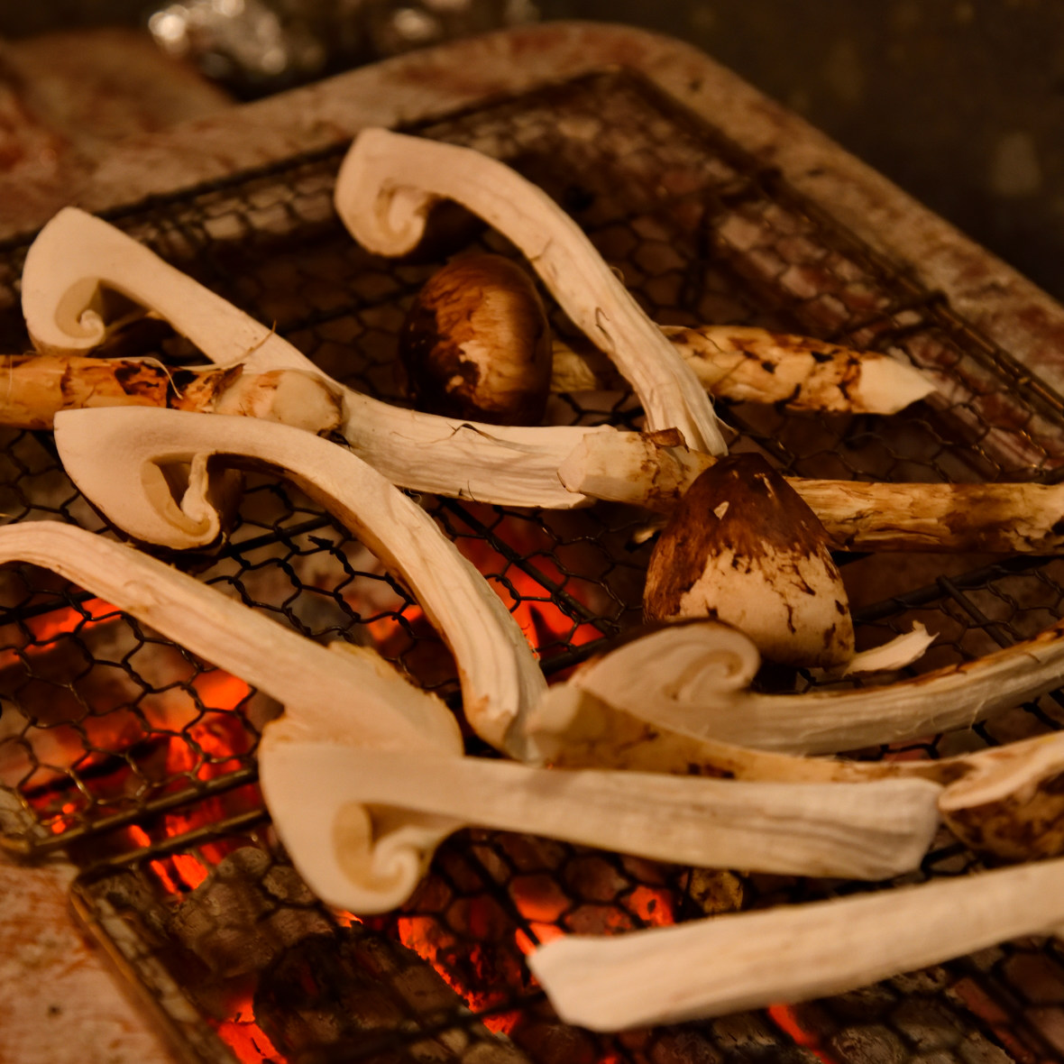 Matsutake